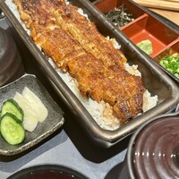 うなぎ四代目菊川 ミッドランドスクエア 名古屋本店 - 