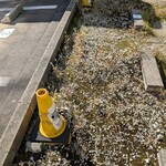 らぁ麺や 汐そば雫 - 