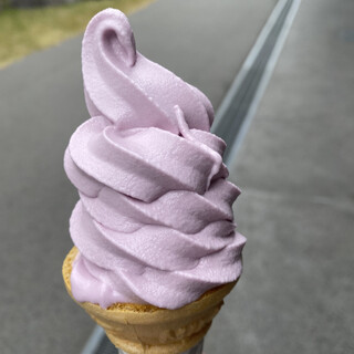 ブルーシール_0