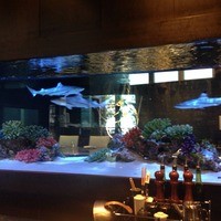 鉄板DINING集 栄店 - 水槽がありました☆