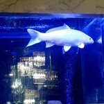 焼肉 拍手喝采 - 