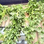 そばの郷 アブザカ - 