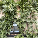 そばの郷 アブザカ - 