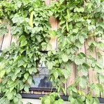 そばの郷 アブザカ - 