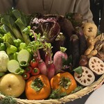 レフェルヴェソンス - 