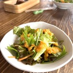 ソラノネ食堂 - 