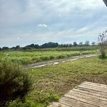 ソラノネ食堂 - 