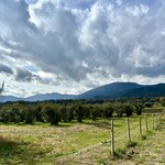 ソラノネ食堂 - 