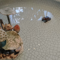 中国飯店 富麗華 - 