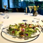 レフェルヴェソンス - 