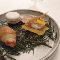 ロドラント ミノルナキジン - 