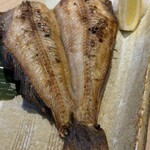 野菜巻き串・直送鮮魚の個室居酒屋 SHIKIBU - 