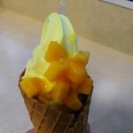 パーム - マンゴーソフト