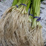 サラザン - 料理写真:不定期で限定入荷★秋田県湯沢市特産の根付きの三関セリ(みつせきせり)