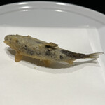 天ぷら  やました - 