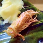 松下 - 海老の頭。