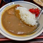 そば処 はるな - ミニカレー