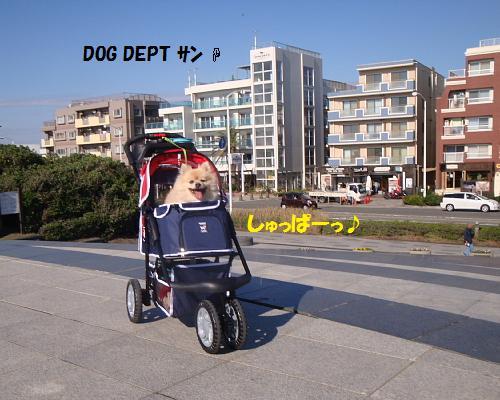 ドッグ デプト プラス カフェ 湘南江ノ島店 Dog Dept Cafe 旧店名 ドッグガーデンカフェ 湘南海岸公園 カフェ 喫茶 その他 食べログ ドッグ デプト プラス カフェ 湘南江ノ島店 Dog Dept Cafe 旧店名 ドッグガーデンカフェ 湘南海岸公園 カフェ 喫茶 その他 食べログ