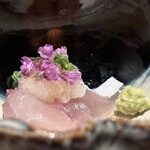 日本料理FUJI - 焼津小川港の桜海老で育った定置網酢洗い鯵