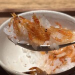 日本料理FUJI - 桜海老ご飯