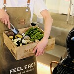 VEGGIE ISO TERRACE - 