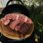 VEGGIE ISO TERRACE - 