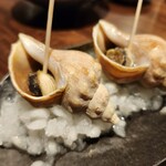 俺の炉ばた 恵比寿 - 