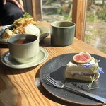 TOGO BOOKS nomadik - 