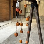 TOGO BOOKS nomadik - 