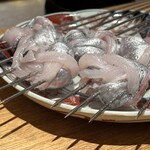 日本料理FUJI - 焼津産太刀魚泳がし生〆