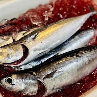 高知の旬のお魚が味わえるお店