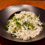 Taiju Allegato ハナレ - 