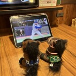 びっくりドンキー 府中けやき通り店 - 