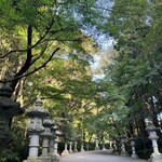 別館山田 - 車で20分。香取神宮。おかげ横丁から参道を緩やかに登った丘の上に本殿はあります。その参道が素晴らしい。11.04紅葉は1〜2割でした。