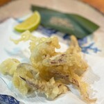 晴れたり曇ったり - ミズイカ皮天麩羅