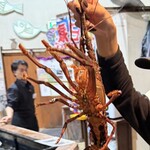 釣船茶屋 ざうお 所沢店 - 