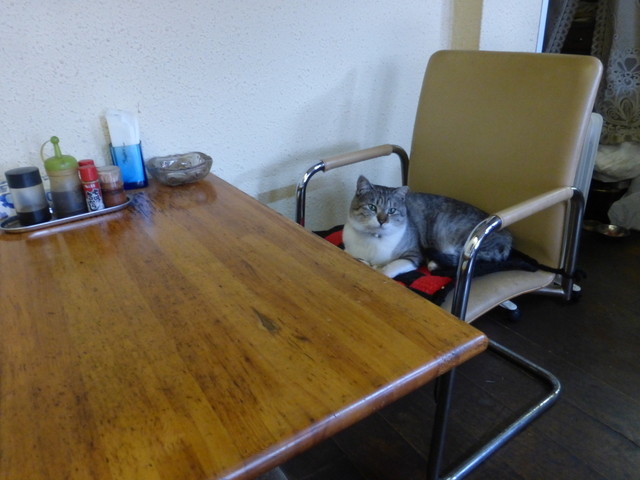 家庭の味 クリア - 福島（うどん）の写真