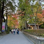 nuku - 参道を歩きます