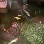 伝承千年の宿 佐勘 - 