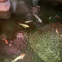 伝承千年の宿 佐勘 - 