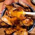 溶岩鶏焼肉 焼け石に肉 - 