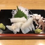 春駒 - ヤリイカ刺し