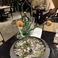 イノベーティブ フレンチ ワタハン - 