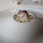 トゥールダルジャン - 