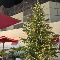 アニヴェルセル カフェ - 