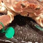 ぎおん 阪川 - 14.11