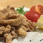 野乃鳥 なんば堂 - 