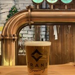 TRANS BREWING BEER STAND - 