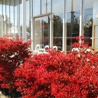 PASTA HOUSE AWkitchen FARM 多摩センター店 - 入り口を外から