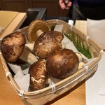 馳走 啐啄一十  - 